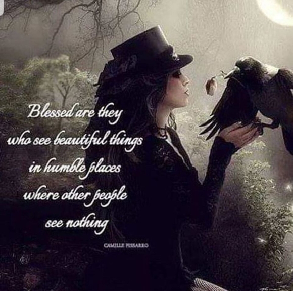 catlady81272